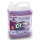 CIF PROFESIONAL -Detergent dezinfectant 2in1 la 5L